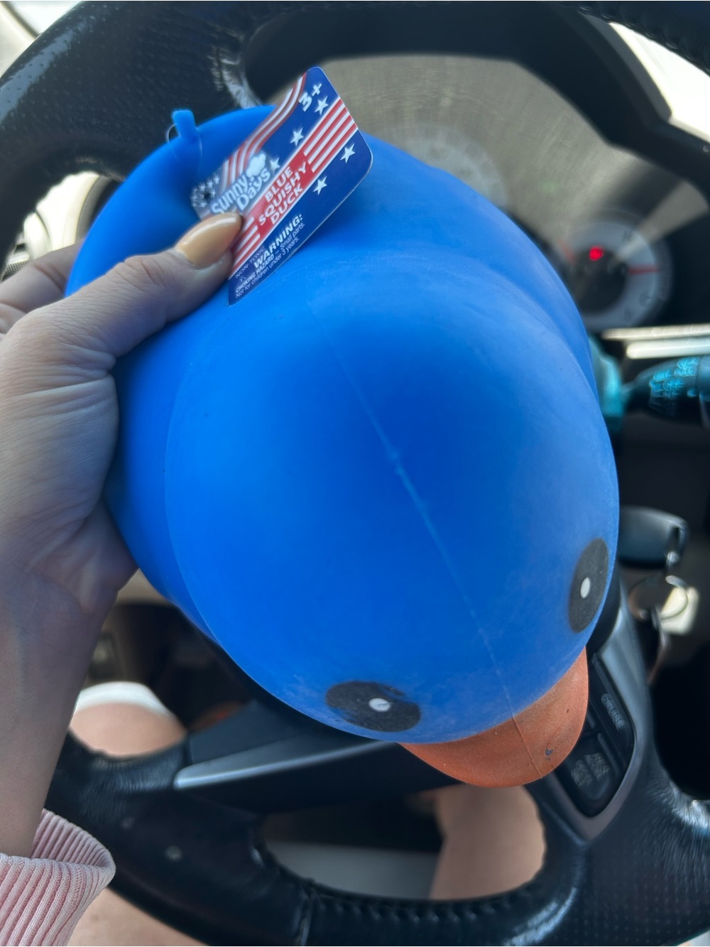 Sunny Days Blue Squishy Duck